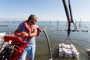 personne dans bassin d'ostériculture