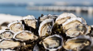 huîtres du bassin d'arcachon