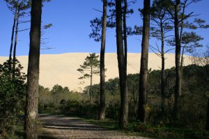 dune du pilat