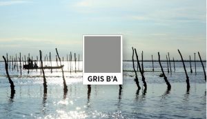 logo gris B'A