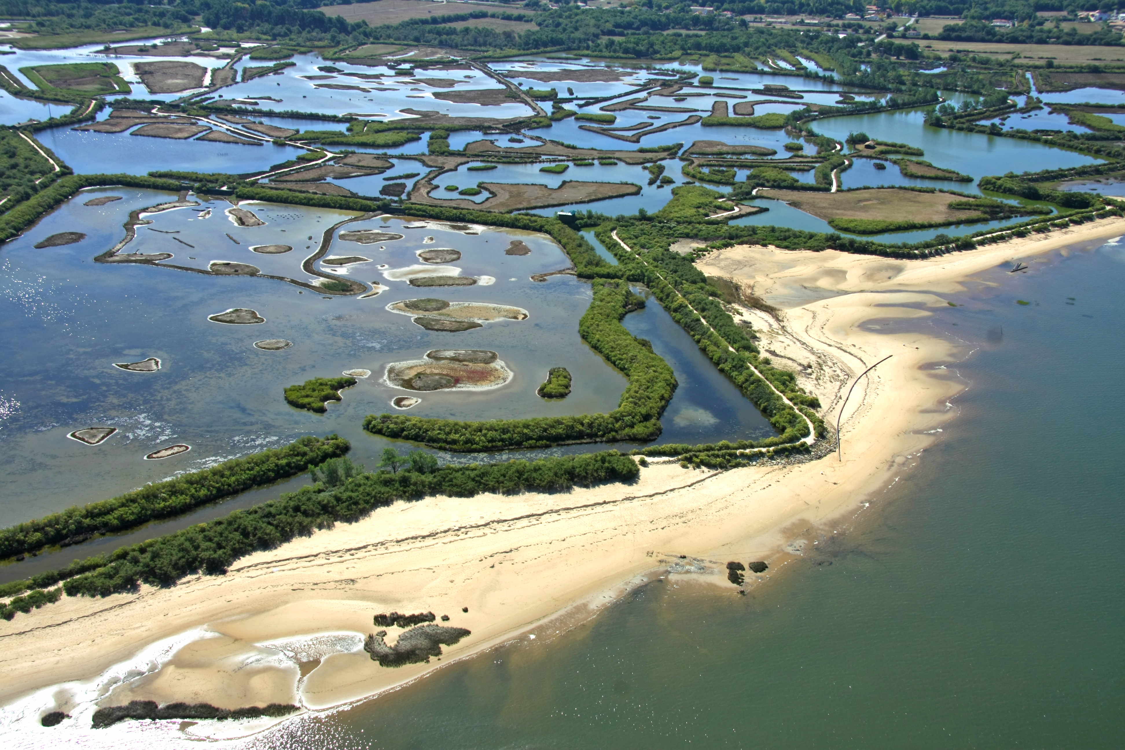 Réserve-ornithologique-teich